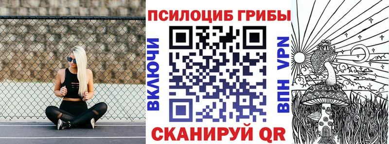 закладка Сызрань Галлюциногенные грибы прущие грибы